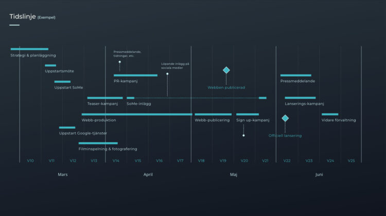 Marknadsplan - Go to market - Exempel